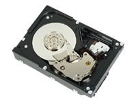 DELL 300GB 10K 6GBS 2.5-IN SFF_ SAS H-P HDD