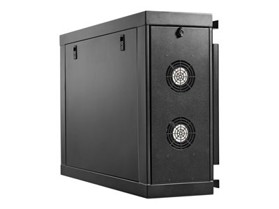 Eaton Tripp Lite Series SmartRack Wall-Mount Mini Rack Enclosure 4U Low-Profile Side-Mount Black