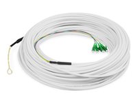 DIGITUS Netværkskabel Fiberoptik G.657.A2/OS2 30m