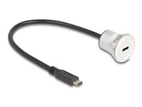 Delock USB Type-C forlængerkabel 30cm Sort Sølv