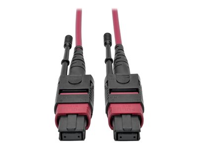 Tripp Lite Series 100G MTP/MPO Multimode OM4 Plenu