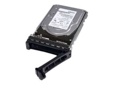 Dell - Hard drive - 18 TB