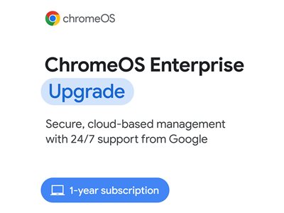 Chrome Enterprise Upgrade Subscription (1 year)