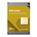 WD Gold WD102KRYZ