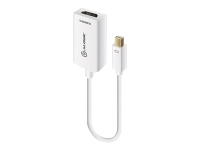 adapter - DisplayPort / HDMI - 15 cm