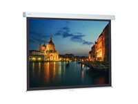 Projecta ProScreen CSR Projecta ProScreen CSR - projection screen - 122.4" (311 cm)