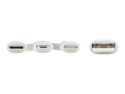 EATON TRIPPLITE USB to Lightning Cable - M101AB-004-LMCW