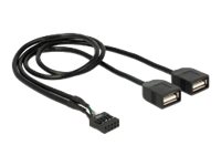 DeLOCK USB 2.0 USB intern til ekstern adapter 40cm Sort