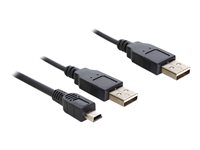 DeLOCK USB-kabel 30cm