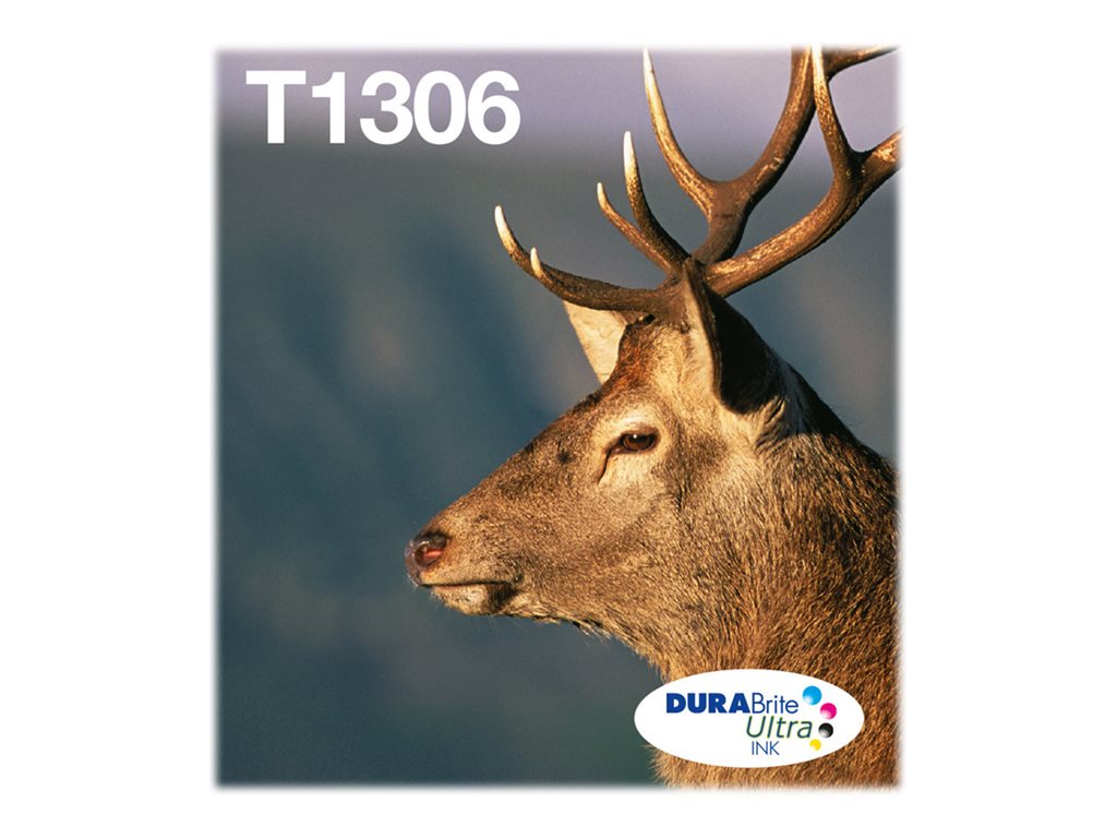 EPSON 1LB Multipack 3-colours T1306
