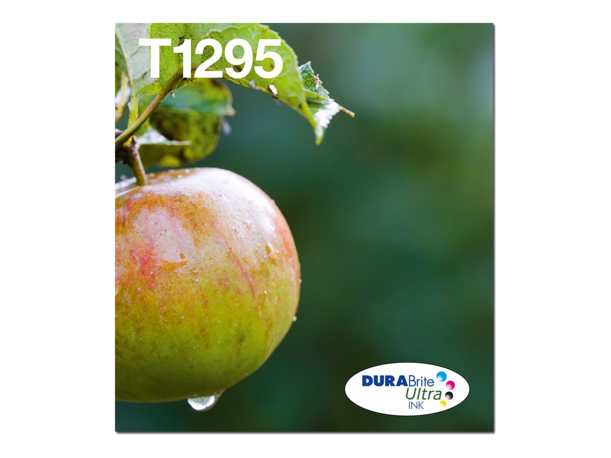 EPSON 2LB T129 EasyMail multipack Inkt