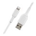 BELKIN Cable USB-A vers Lightning 0.15m