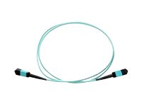 Axiom - Network cable