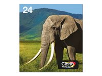 EPSON 3LB Multipack 6-colours 24