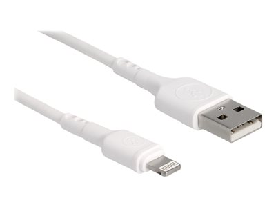 DELOCK USB Ladekabel fur iPhone 30cm - 87866