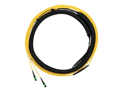 Panduit - Trunk cable