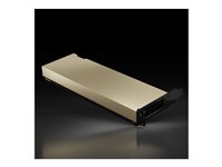 NVidia _ 900-2G193-0000-001