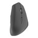 TNB ERGO Line Ergo Wireless Mouse