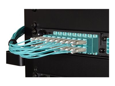 Black Box Premium - Patch cable