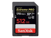 SanDisk Extreme Pro