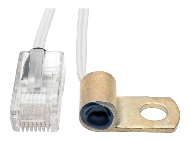 Eaton Tripp Lite Series Medical-Grade Temperature Sensor for Tripp Lite Healthcare Power Modules, 2 ft.