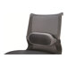 FELLOWES i-spire coussin lombaire