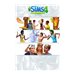The Sims 4: Deluxe Party Upgrade