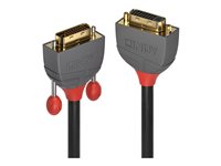 Lindy Cble et connectique vido 36232