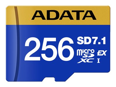 Premier Extreme - flash memory card - 256 GB - mic