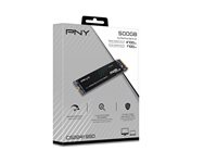 PNY CS2241