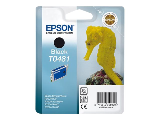 Epson T0481 černá – foto 4