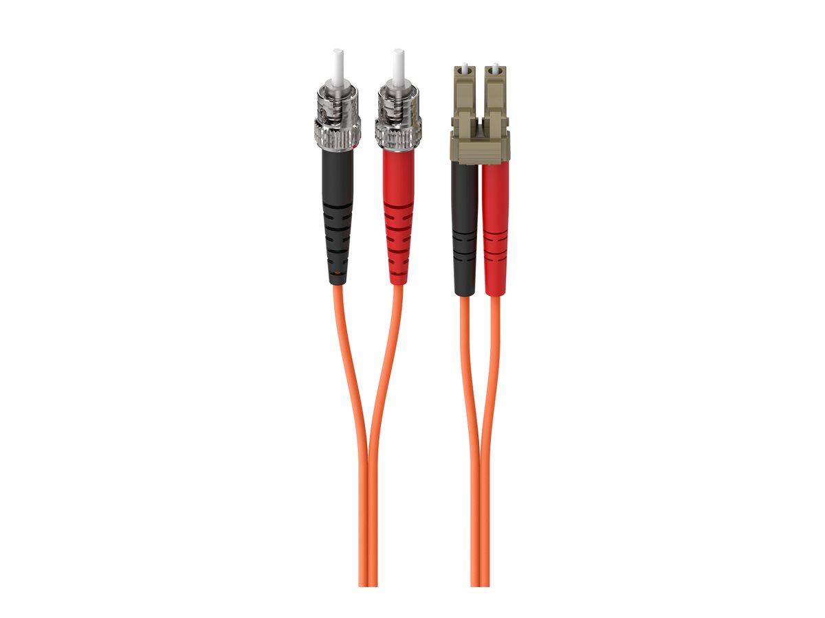 Sebn Cable Belkin - Network cable | www.shi.ca