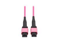 Eaton Tripp Lite Series 100G Multimode 50/125 OM4 Fiber Optic Cable (12F MTP/MPO-PC F/F), OFNP, Magenta, 1 m (3.3 ft.), TAA