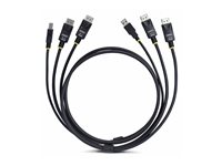 StarTech 6ft (1.8m) Dual-DisplayPort and USB 5Gbps KVM Cable - keyboard / video / mouse (KVM) cable - 1.83 m