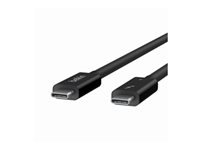 Belkin Cbles-Cbles et adaptateurs INZ002BT2MBK