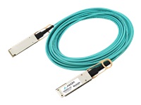 Axiom - Câble d'attache direct 100GBase-AOC - QSFP28 pour QSFP28 - 15 m 