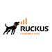 Ruckus Access Point Management