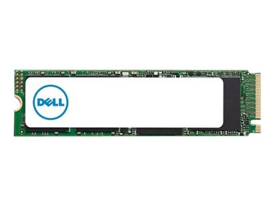 Dell SSD 256GB M.2 PCI Express | billige priser og hurtig levering