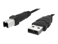 Belkin 6ft USB A/B Device Cable USB cable USB (M) to USB Type B (M) USB 2.0 6 ft m image