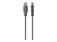 BELKIN USB2.0 A-B Cable 4.8m