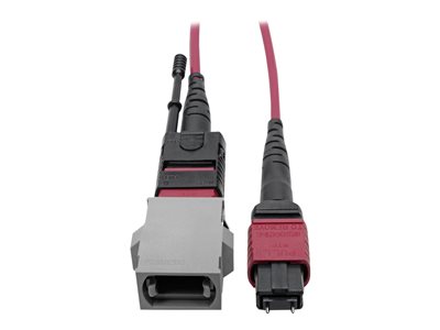 Tripp Lite MTP/MPO Parallel Optics Base-8 Migration Fiber Adapter, Polarity C to B, 12 Fiber, 40 GbE, OM4 M/F, Magenta, 8 in.