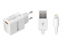 CoreParts  Produits CoreParts MBXAP-AC0008