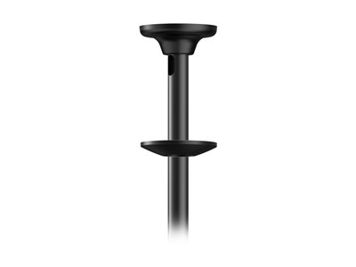 NEOMOUNTS Flat Screen Ceiling Mount