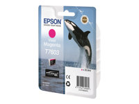 Epson Jet d'encre Grand Format C13T76034010