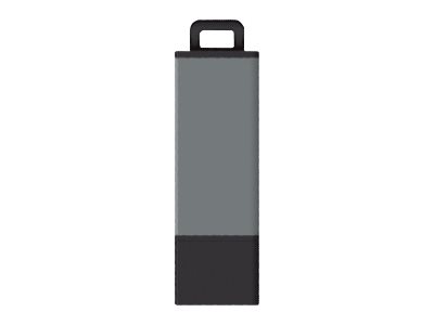 Centon Pro2 - USB flash drive