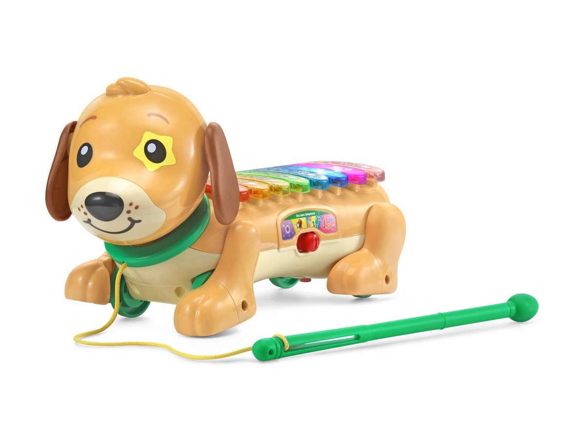 VTech Zoo Jamz Doggy Xylophone