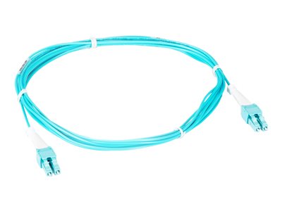 Black Box Premium - Patch cable