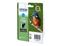 EPSON ENCRE CYAN SERIE MARTIN P