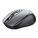 TRUST Souris sans fil ZAYA rechargeable
