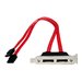StarTech 2 Port Low Profile SATA to eSATA Plate Adapter (ESATAPLT2LP)
